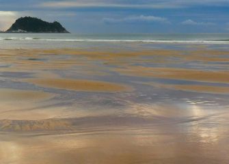 Cuando sale el raton