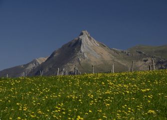 DESPERTAR BAJO TXINDOKI