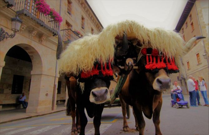 DÍA DE SAN MARCIAL: foto en Bergara