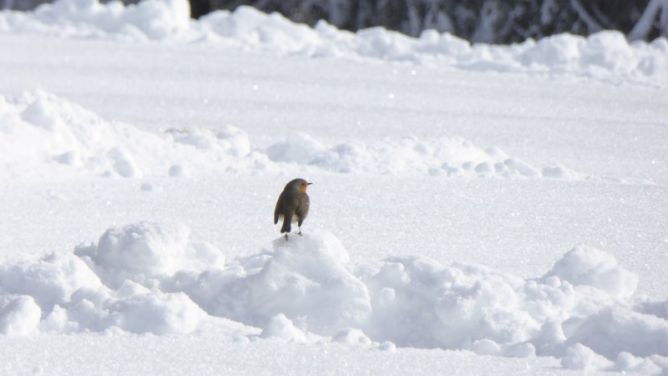 Elurretan, baita ere gustora !!!: foto en Tolosa