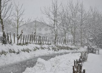 Elurretan-Nevando