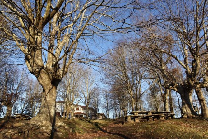 De entre los arboles: foto en Eibar