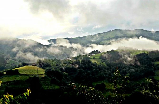 entre la niebla: foto en Legorreta