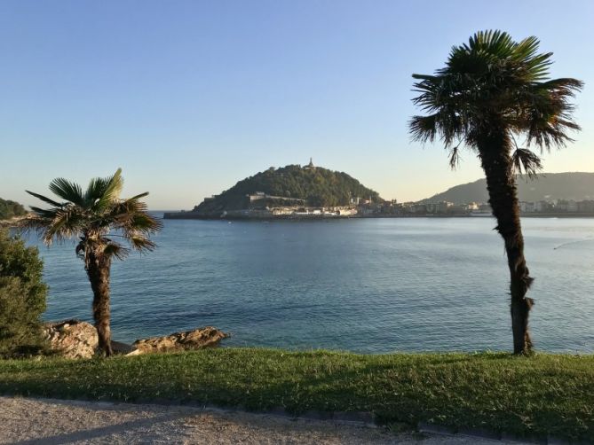 Entre palmeras: foto en Donostia-San Sebastián