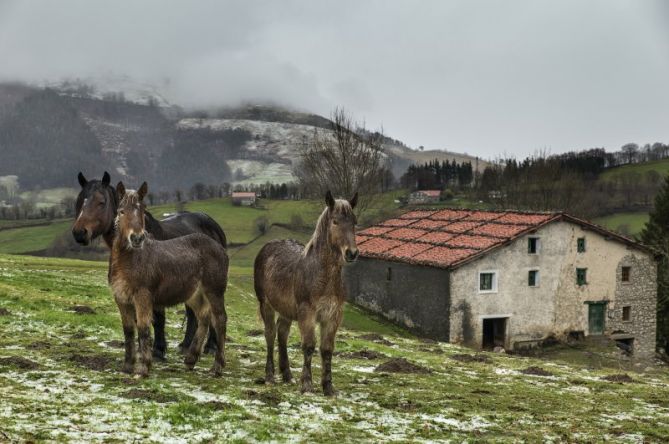 ERDOIZTA AUZOA: foto en Errezil