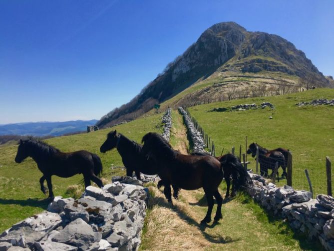 Ernio : foto en Zarautz