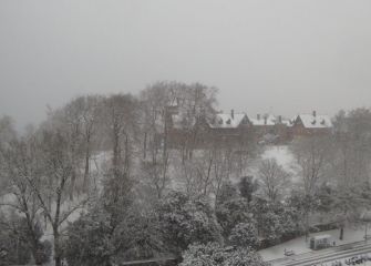 Erregina hor ote al dago ?...