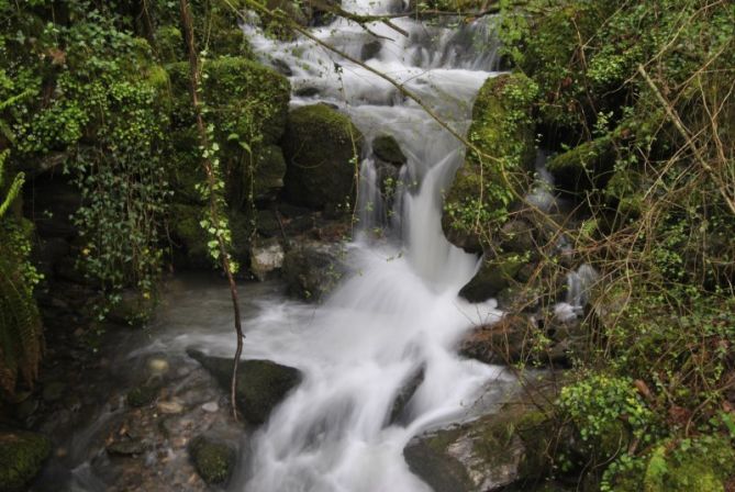 Erreka: foto en Errenteria