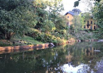 El estanque de la felicidad