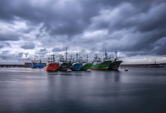 Flota amarrada: foto en Hondarribia