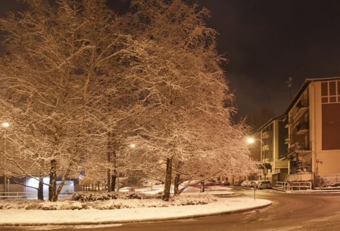 Frio Invenal: foto en Tolosa