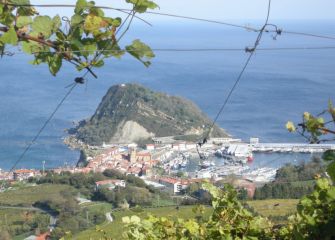 Getaria entre viñedos