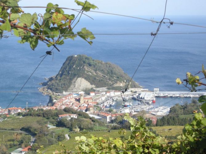 Getaria entre viñedos: foto en Getaria