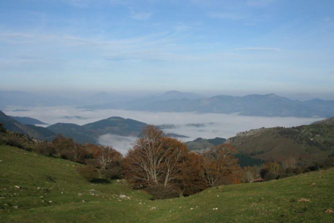 Goierri bajo la niebla: foto en Zaldibia