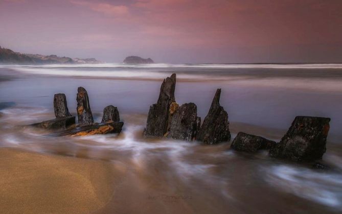 Gustav : foto en Zarautz