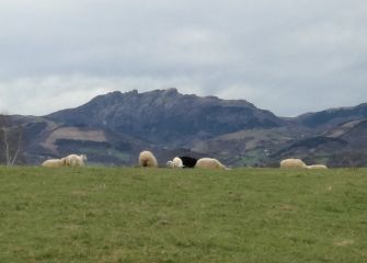 Haiako Harri desde Altza