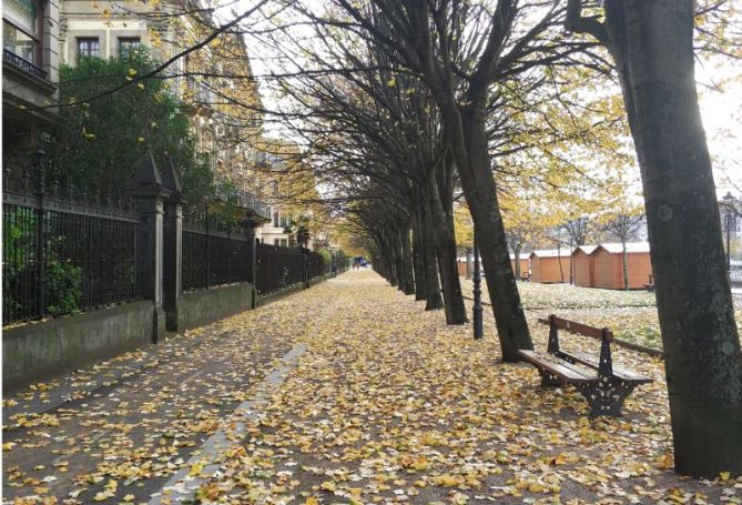 Hojas secas: foto en Donostia-San Sebastián