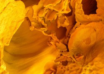 Jaizkibel_Gran Canto100