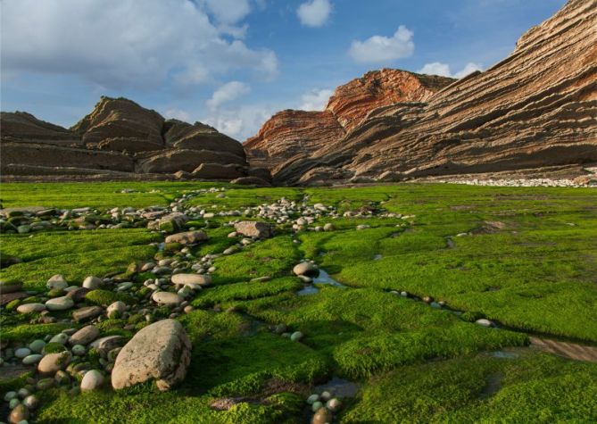 El jardin de Neptuno: foto en Zumaia