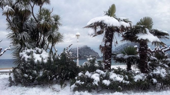 Jardines de nieve: foto en Donostia-San Sebastián