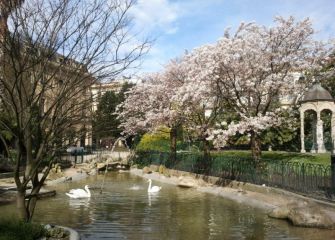 El Jerte en Donostia