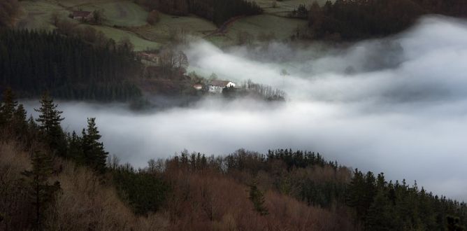 Laino artean: foto en Bergara