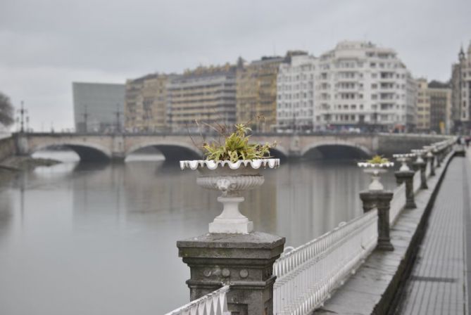 Loreontzia: foto en Donostia-San Sebastián