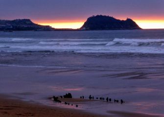 Los restos y el ratón.