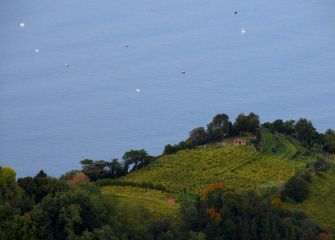 Mahastia eta itsasoa