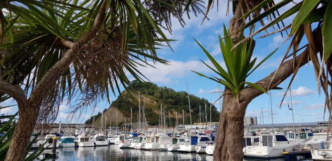 Un marco incomparable: foto en Getaria