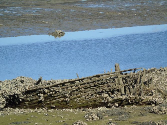 Marea baja: foto en Irun