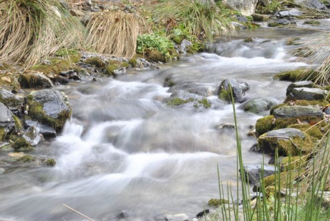 Meategiko ibaia: foto en Oiartzun