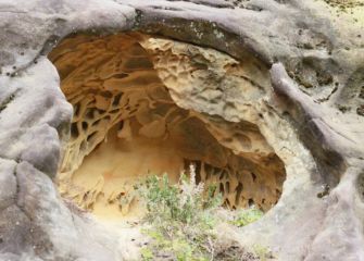 naturaleza artista 1