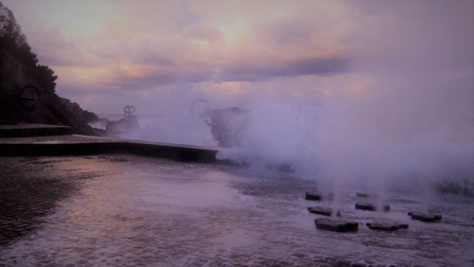 Naturaleza en estado puro !!: foto en Donostia-San Sebastián