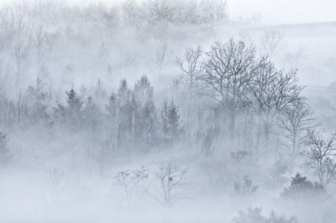 NIEBLA: foto en Aretxabaleta