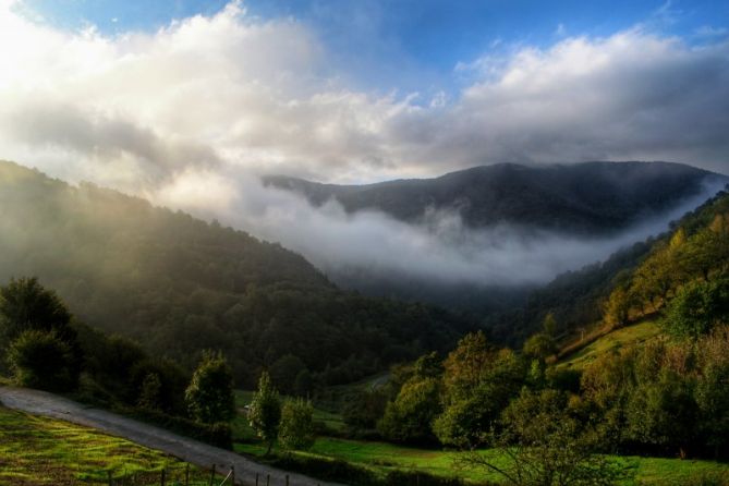 Niebla: foto en Ataun