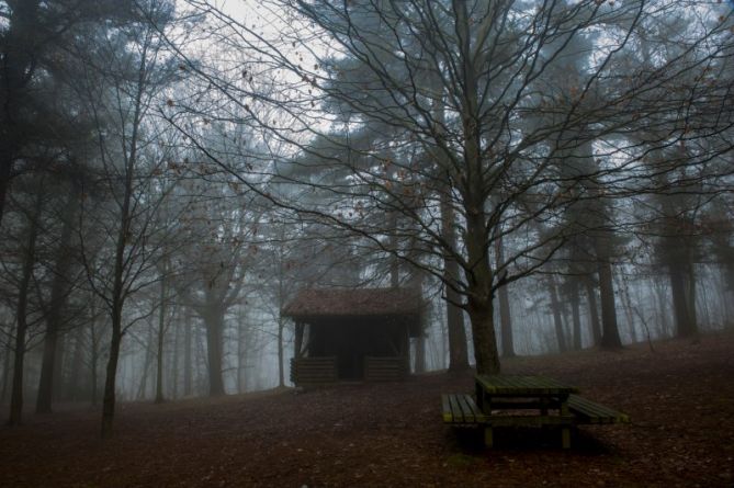 Nieblas en Langaurre: foto en Alegia