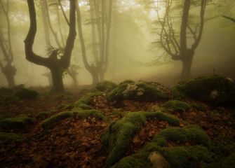 Nieblas en primavera