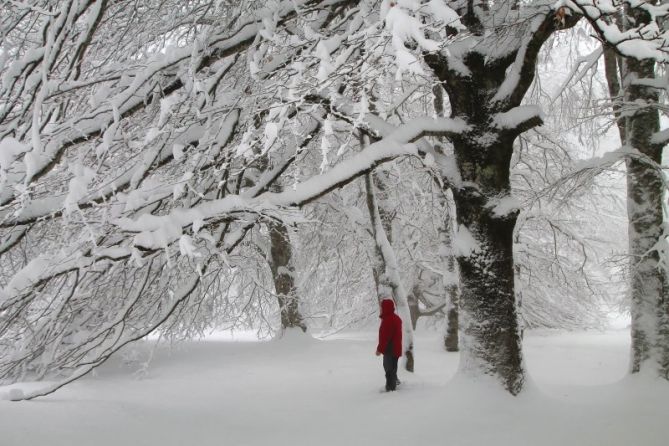 En la nieve: foto en Zegama