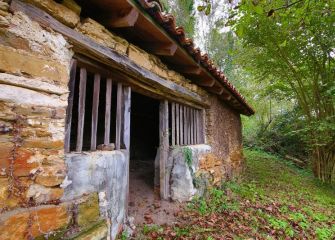 Old Shed