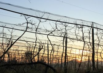 Orto desde Oriamendi