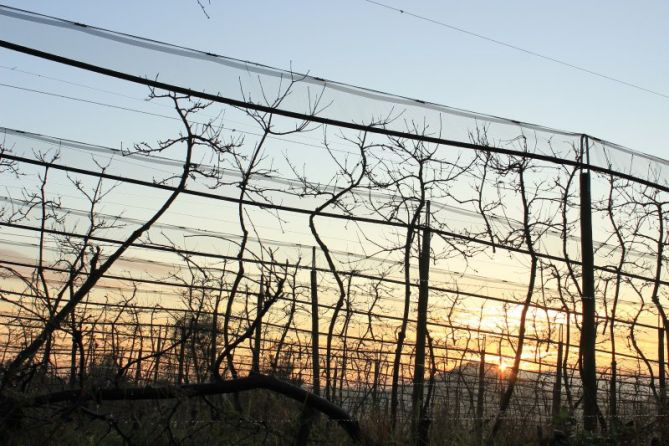 Orto desde Oriamendi: foto en Donostia-San Sebastián