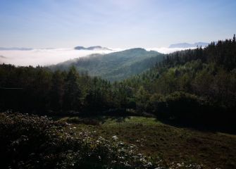 Otoño en el corazon de Gipuzkoa