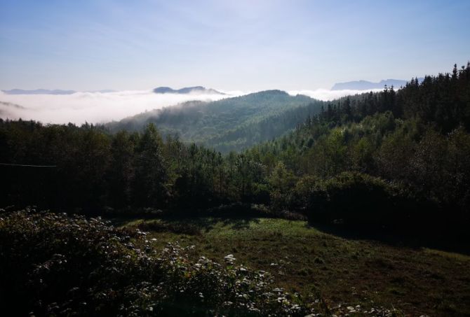 Otoño en el corazon de Gipuzkoa: foto en Ordizia