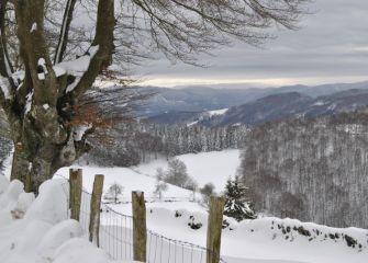 Paisaia elurtuta - Paisaje nevado