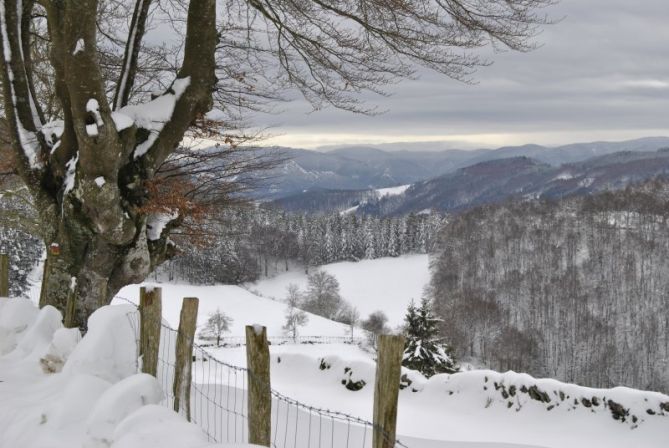 Paisaia elurtuta - Paisaje nevado: foto en Beizama