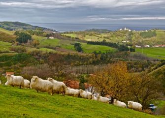 Paisaje de Aizarnazabal 