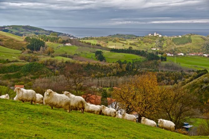 Paisaje de Aizarnazabal : foto en Aizarnazabal