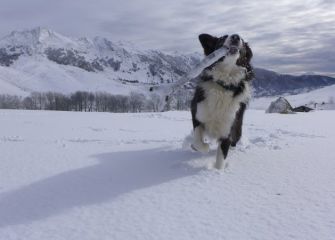 un palo,un palo!!!!!
