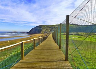 Pasarela de bio topo 